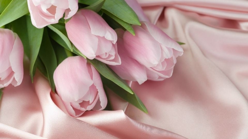 Аҟәа ақалақьтә Еизара ахантәаҩы Иракли Харчлаа аҳәса рымш рыдиныҳәалеит, ирзеиӷьеишьеит агәабзиара, анасыҧ, аманшәалареи абзиабареи.
